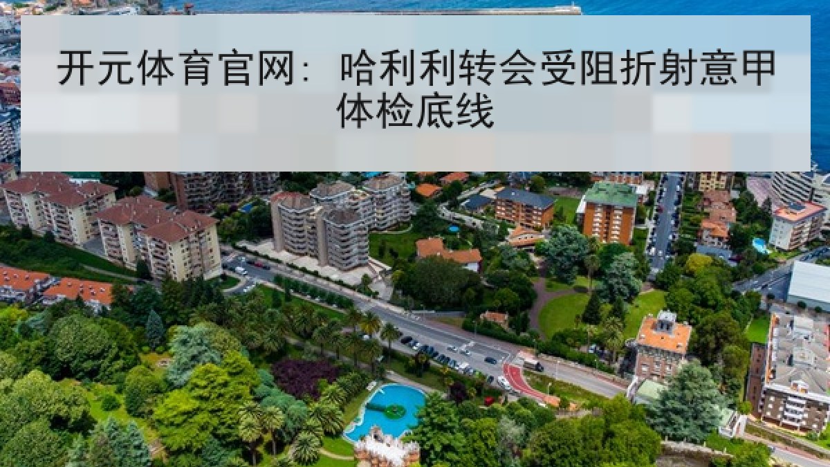 开元体育官网: 哈利利转会受阻折射意甲体检底线