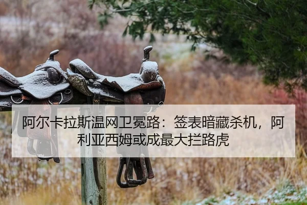 a-er-ka-la-si-wen-wang-wei-mian-lu-qian-biao-an-cang-sha-ji-a-li-ya-xi-mu-huo-cheng-zui-da-lan-lu-hu-2-730.jpg