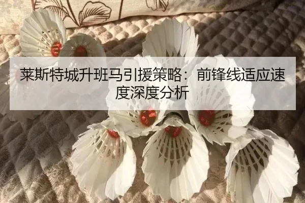莱斯特城升班马引援策略：前锋线适应速度深度分析